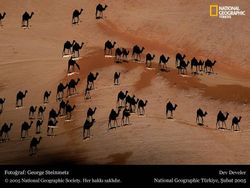 National Geographic Turkiye